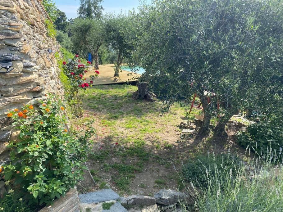 Rivolta Home Buti Εξωτερικό φωτογραφία